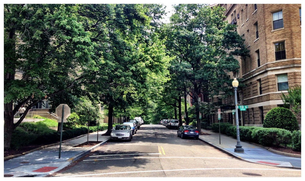 Wyoming Ave, NW DC State By State